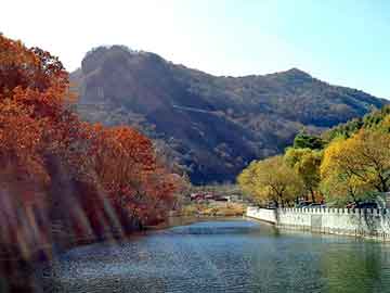 澳门二四六天天彩图库，海外华人论坛